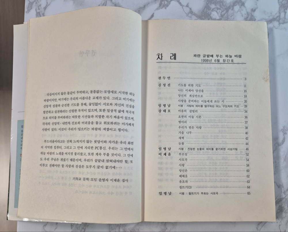 파란-04.jpg